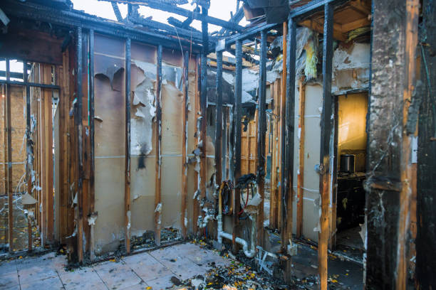 Professional Fire Damage Removal technician working in Hamilton, MO